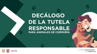 Decálogo del dueño responsable