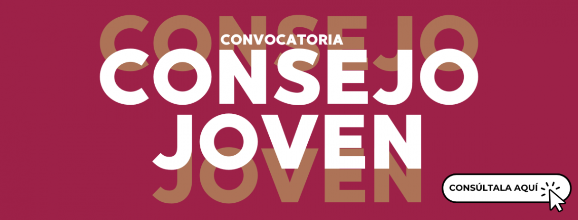 Consejo Joven 2025